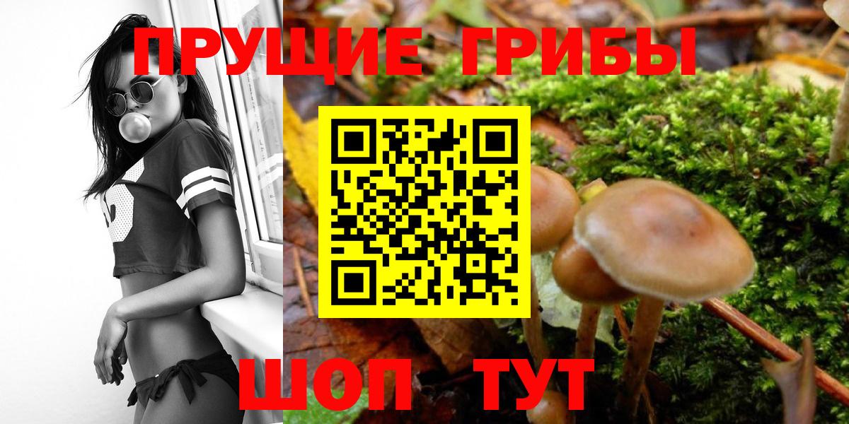 Гусь-Хрустальный  Псилоцибиновые грибы мицелий  Вход с VPN 